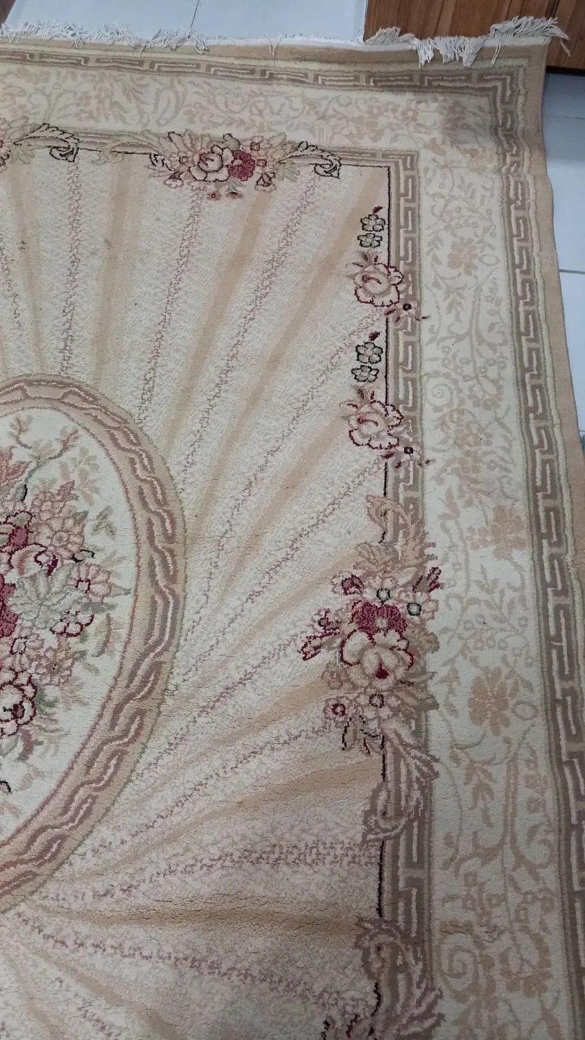 فرش ۶متری کاملاسالم|فرش|رشت, جماران|دیوار