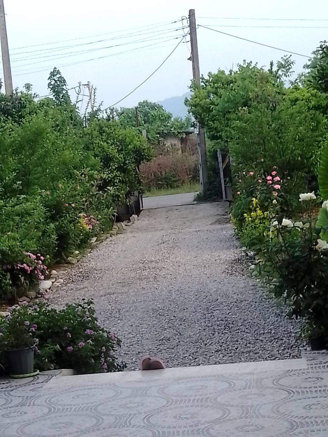 اجاره ویلا دوبلکس سوادکوه شمالی 220متری|اجارهٔ کوتاهمدت ویلا و باغ|شیرگاه, |دیوار