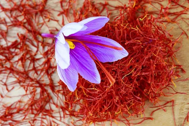 زعفران با کیفیت و مرغوب|خوردنی و آشامیدنی|تهران, نازی‌آباد|دیوار