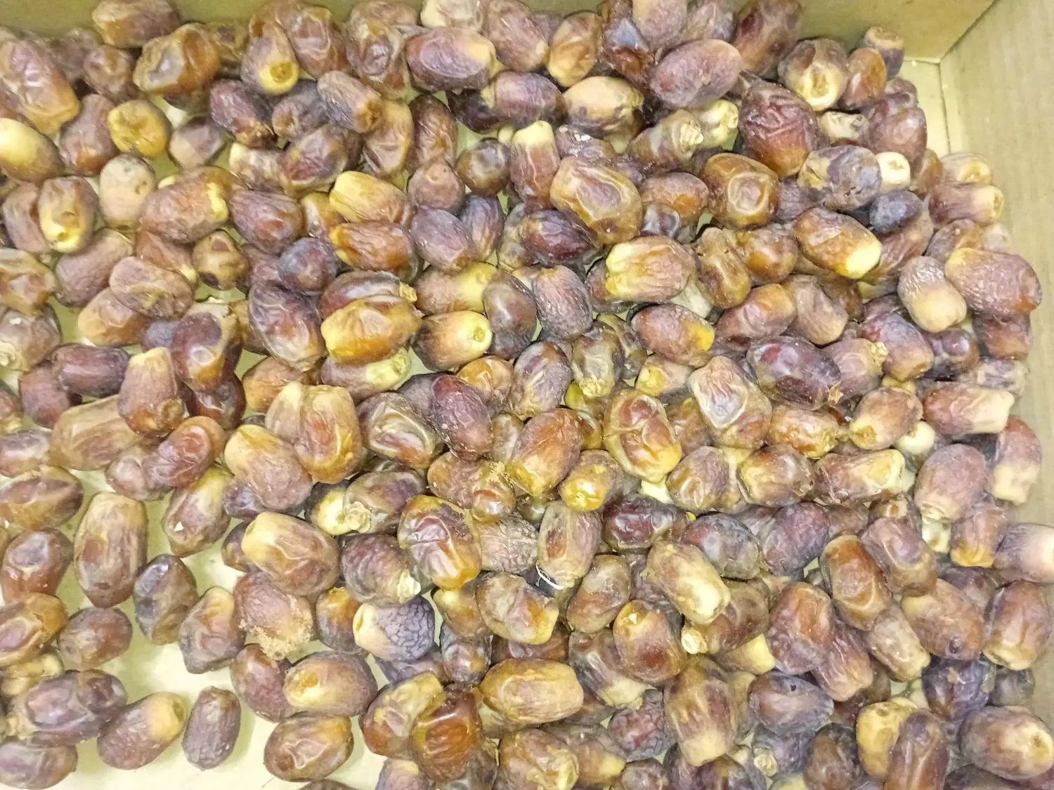 خرما خشک|خوردنی و آشامیدنی|کرج, حصارک بالا|دیوار