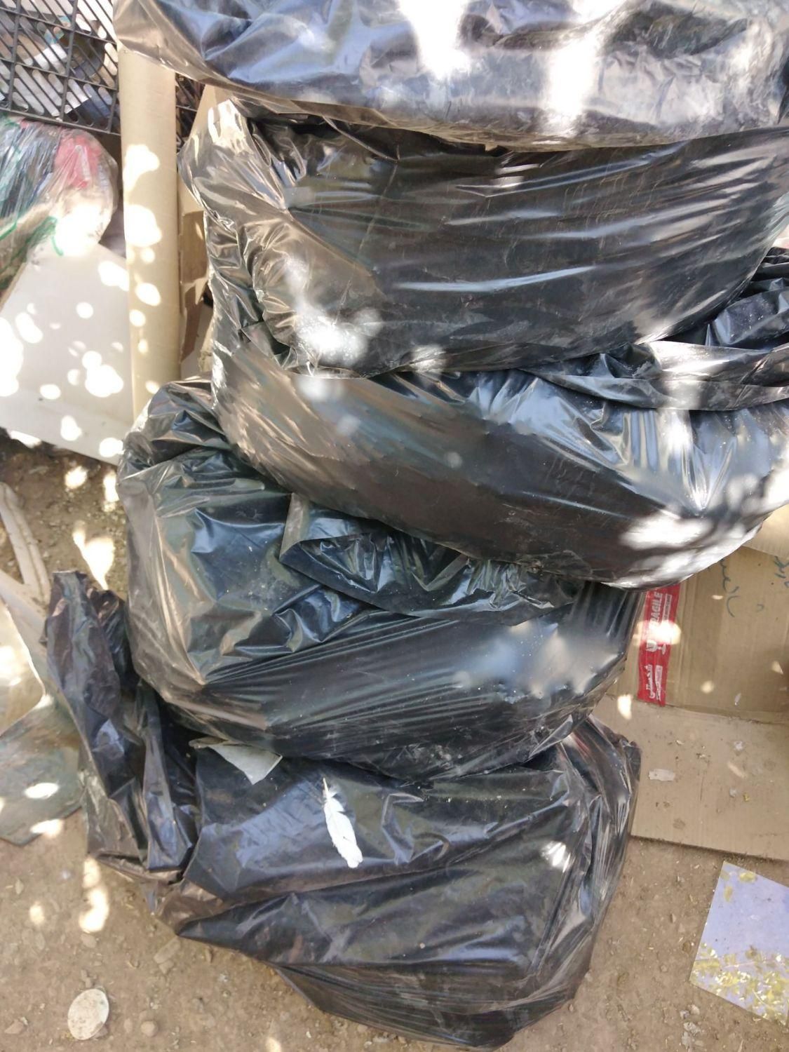 زل کبوتر|لوازم جانبی حیوانات|شاهین‌شهر, شهرک گلدیس|دیوار