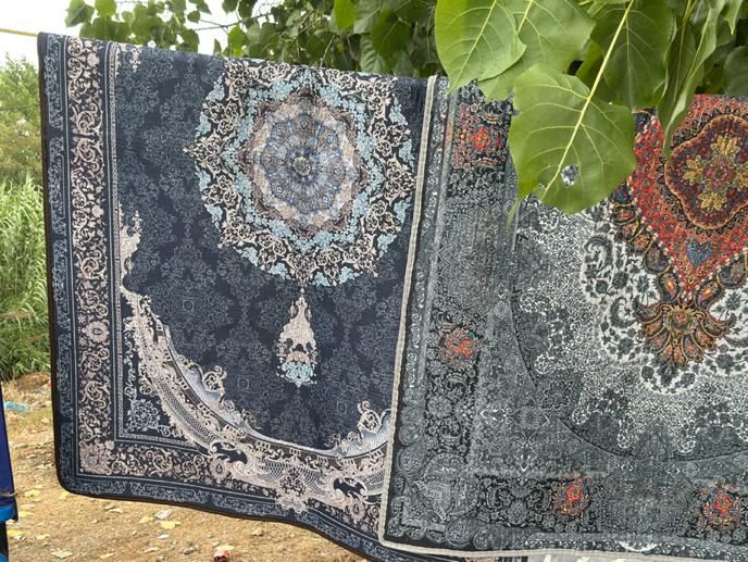 قالیچه نمدی|گلیم، جاجیم، گبه|ساری, |دیوار