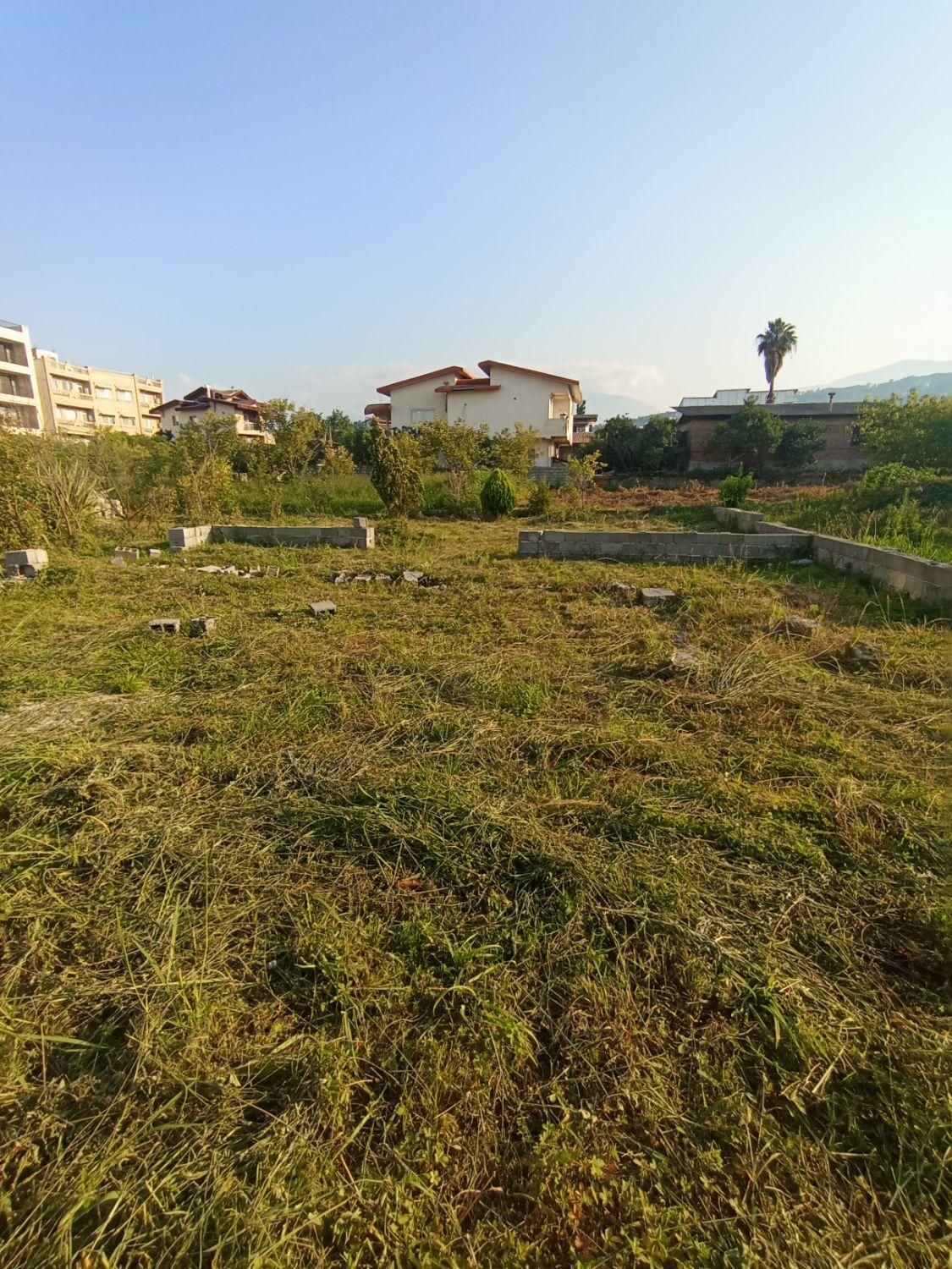 زمین آپارتمانی ۶۲۶ متری آماده ساخت کتالم رامسر|فروش زمین و ملک کلنگی|رامسر, |دیوار