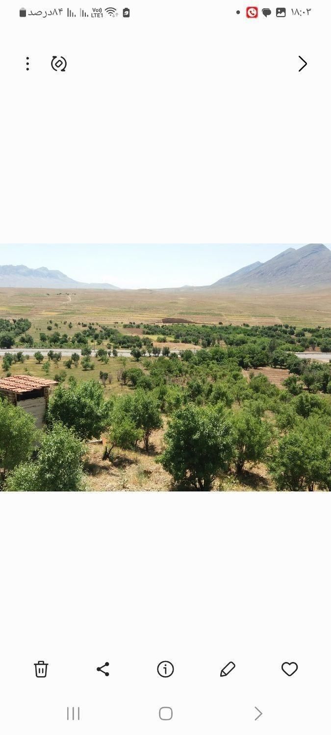 باغ میوه زیر قیمت با اقساط وزمین رایگان|فروش زمین و ملک کلنگی|خمین, |دیوار