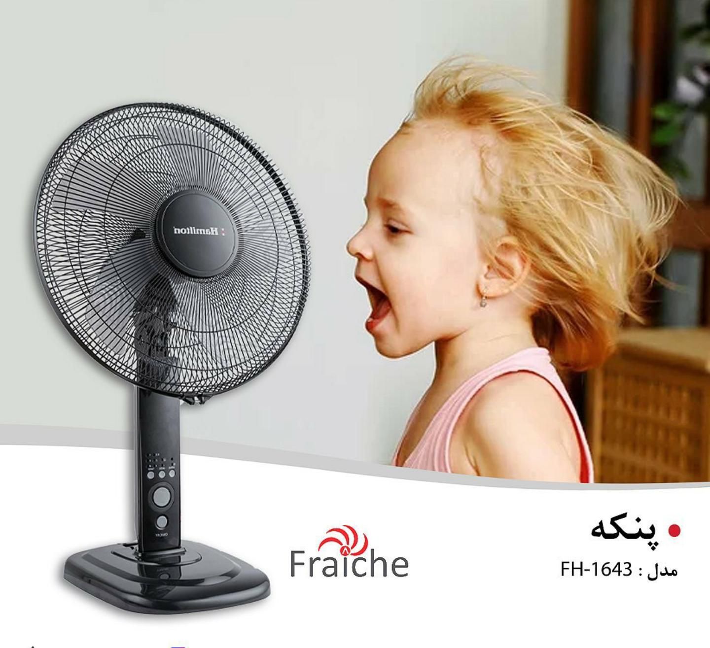 عرضه ویژه پنکه های ایستاده،سه‌حالته،شارژی و دیواری|پنکه و تصفیه‌کنندهٔ هوا|شیراز, شیخ روزبهان|دیوار