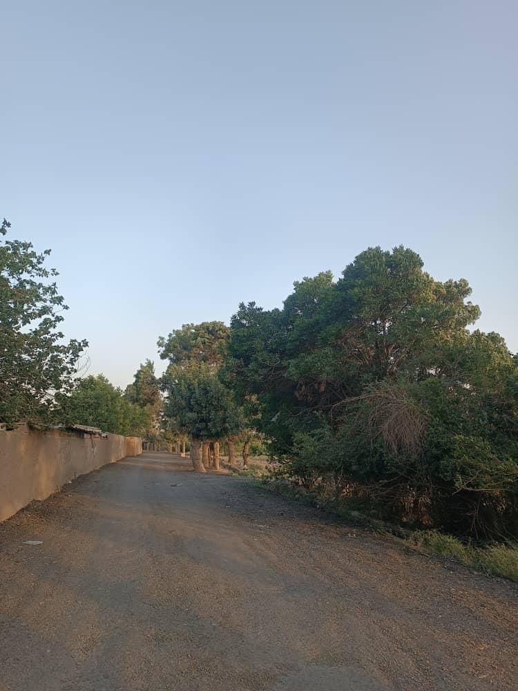 فروش زمین ۳۰۰ متری در روستای پلایین|فروش زمین و ملک کلنگی|تهران, کریم‌آباد|دیوار