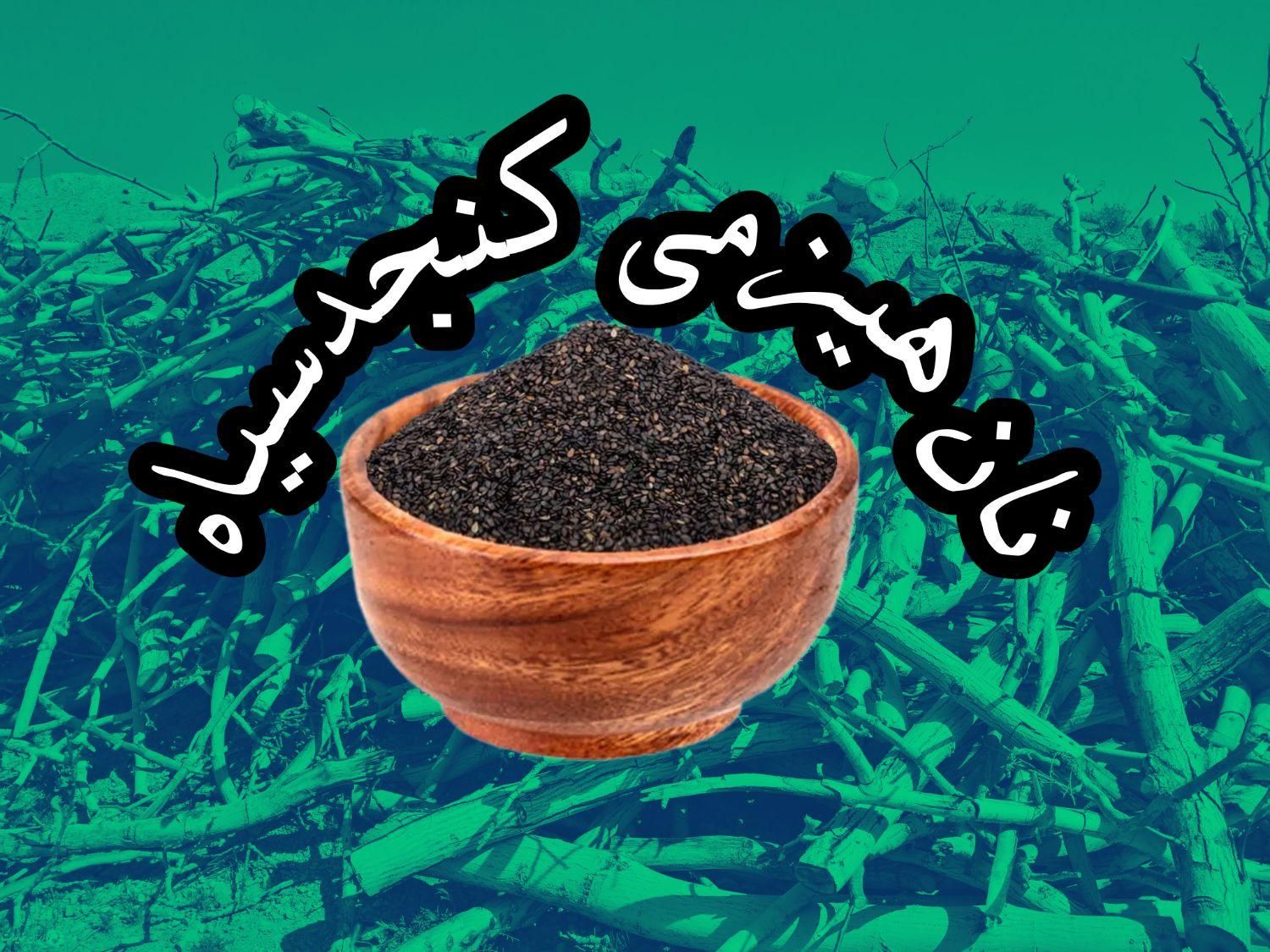 نان بومی وهیزمی ننه خاتون/کنجدسیاه|خوردنی و آشامیدنی|اصفهان, خوراسگان|دیوار