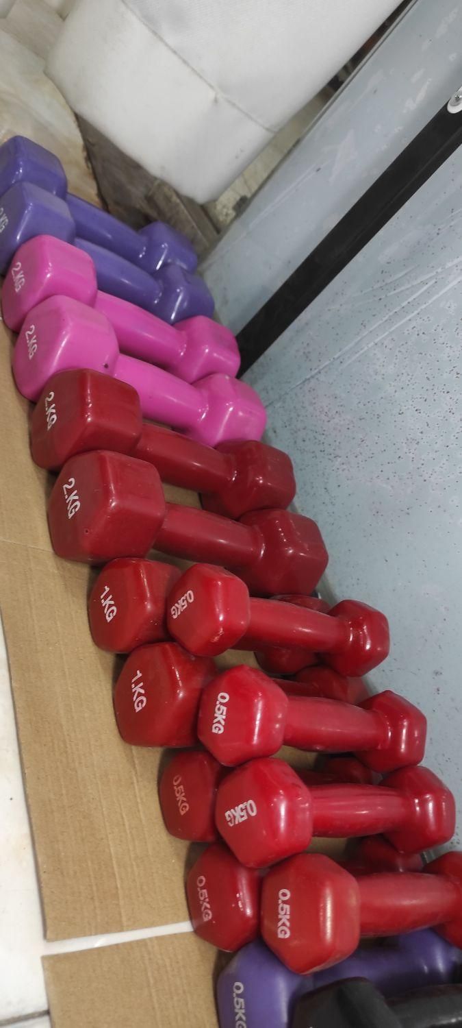 دمبل رنگی دمبل بانوان|تجهیزات ورزشی|شیراز, طلاب|دیوار