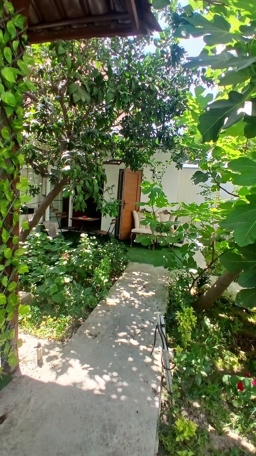 کلبه دو نفره (بهار ۳)|اجارهٔ کوتاهمدت ویلا و باغ|بابلسر, |دیوار