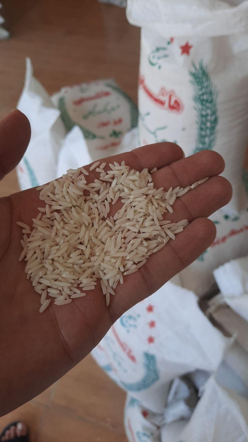 فروش برنج پر محصول فجر فقط ۱۴۰ تومن|خوردنی و آشامیدنی|آستارا, |دیوار