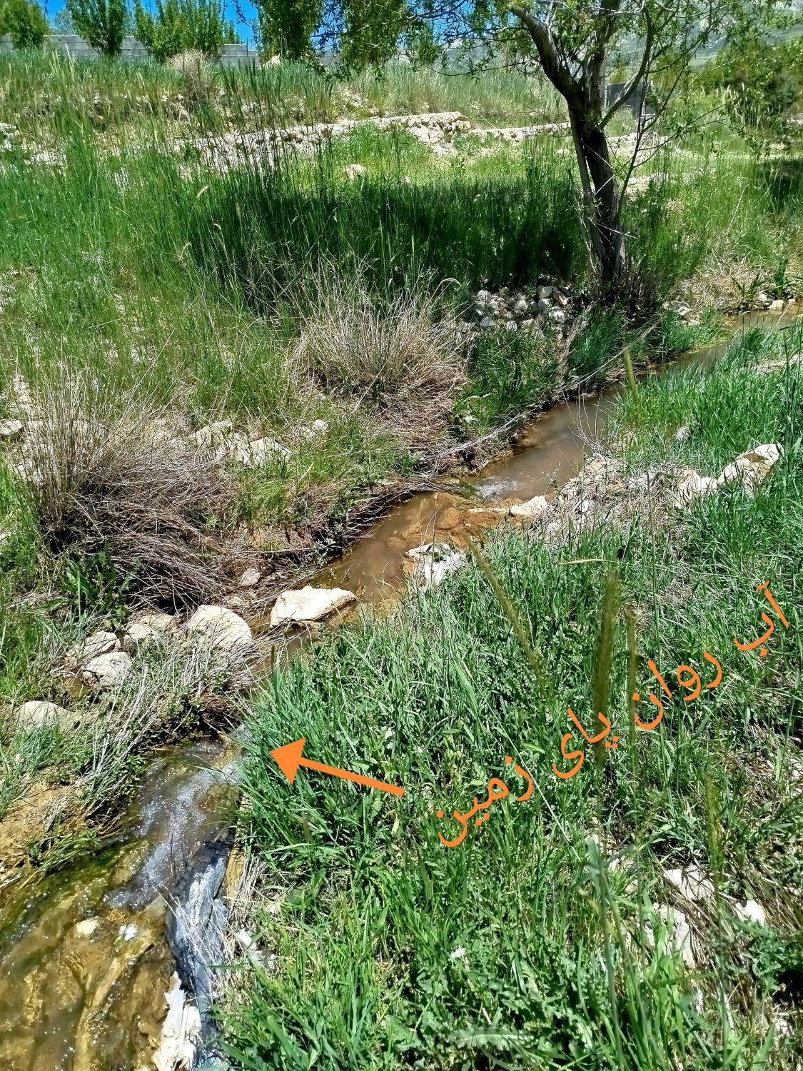 زمین روستایی (زمین باغچه)|فروش زمین و ملک کلنگی|شیراز, حافظیه|دیوار