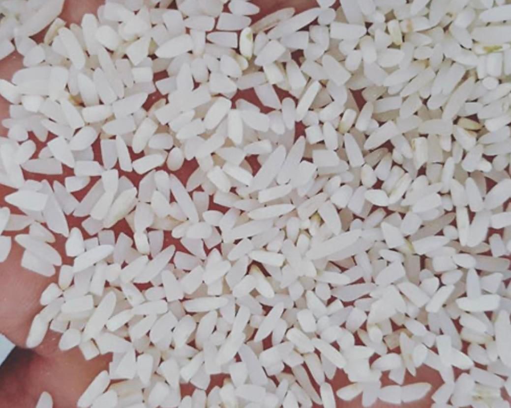 برنج نیم دانه هاشمی|خوردنی و آشامیدنی|تبریز, |دیوار