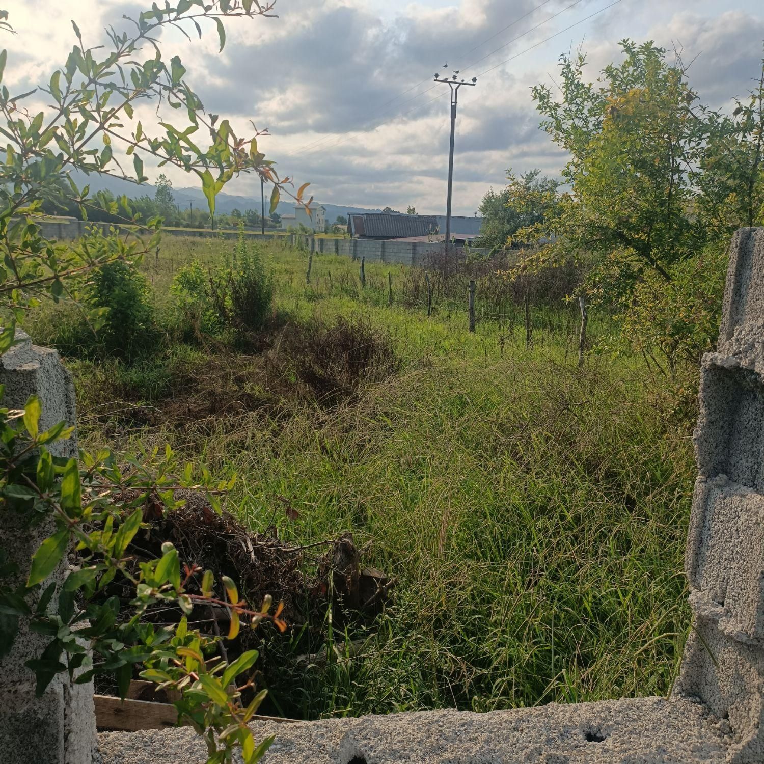 زمین مسکونی به مساحت ۲۵۰متر سند تک برگ|فروش زمین و ملک کلنگی|رضوانشهر, |دیوار