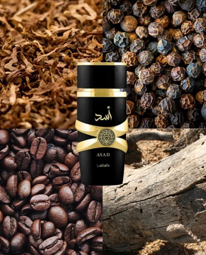 قول میدم جلوی عطرهامون نمیتونی دووم بیاری|آرایشی، بهداشتی، درمانی|شیراز, ملاصدرا|دیوار