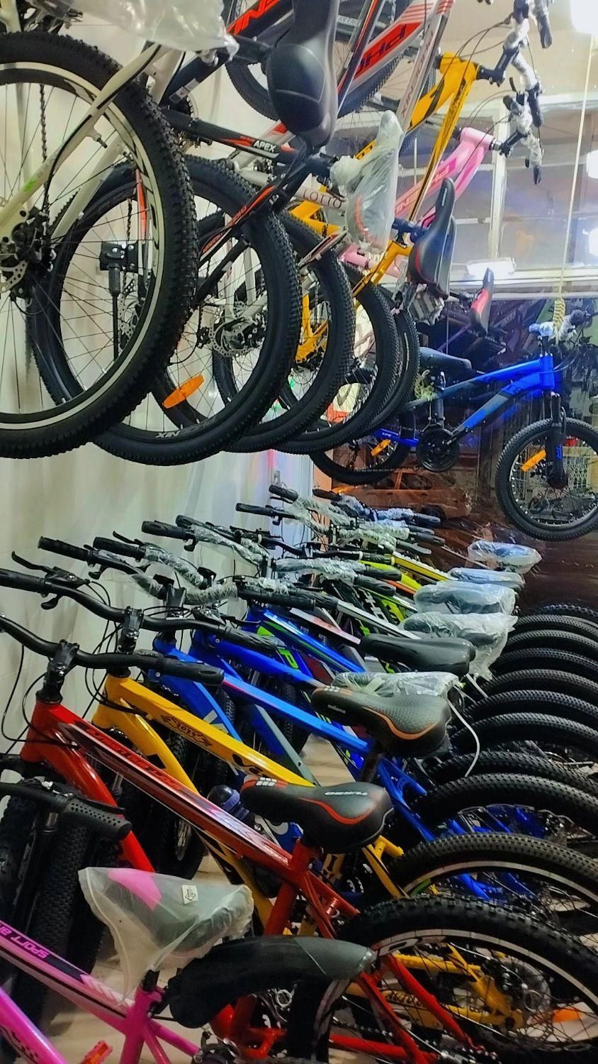 فروشگاه دوچرخه شاهان|دوچرخه، اسکیت، اسکوتر|کاشان, کارگر|دیوار