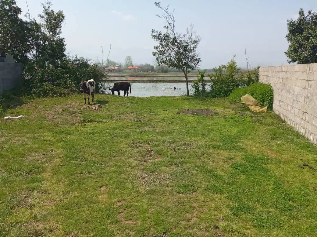 زمین ۲۰۰متری صومعه سرا روستای ندامان|فروش زمین و ملک کلنگی|کرج, شهرک فهمیده|دیوار