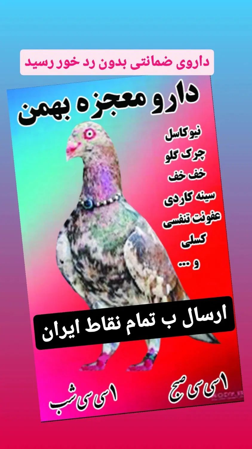 دارو معجزه کبوتر|لوازم جانبی حیوانات|مشهد, کوی سیدی|دیوار
