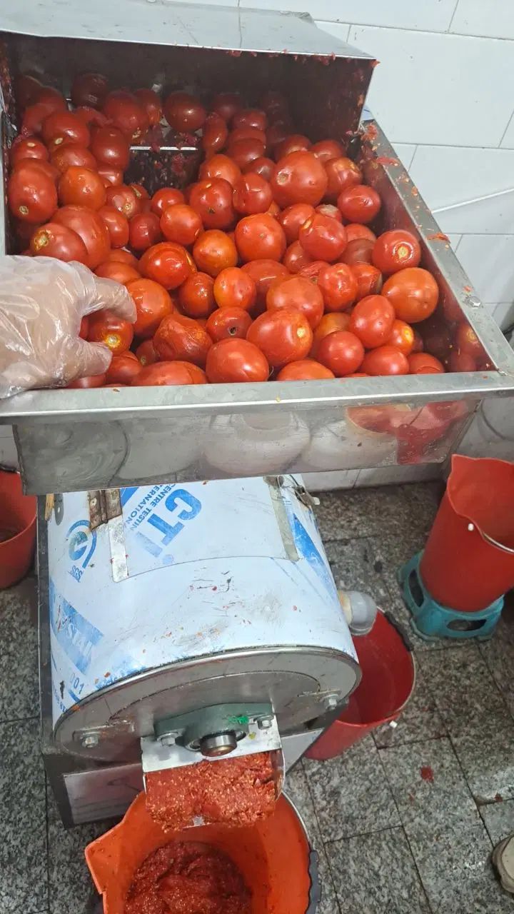 آبلیمو و آبغوره رب  گوجه گیری و سبزی خردکنی|خوردنی و آشامیدنی|اصفهان, باتون|دیوار