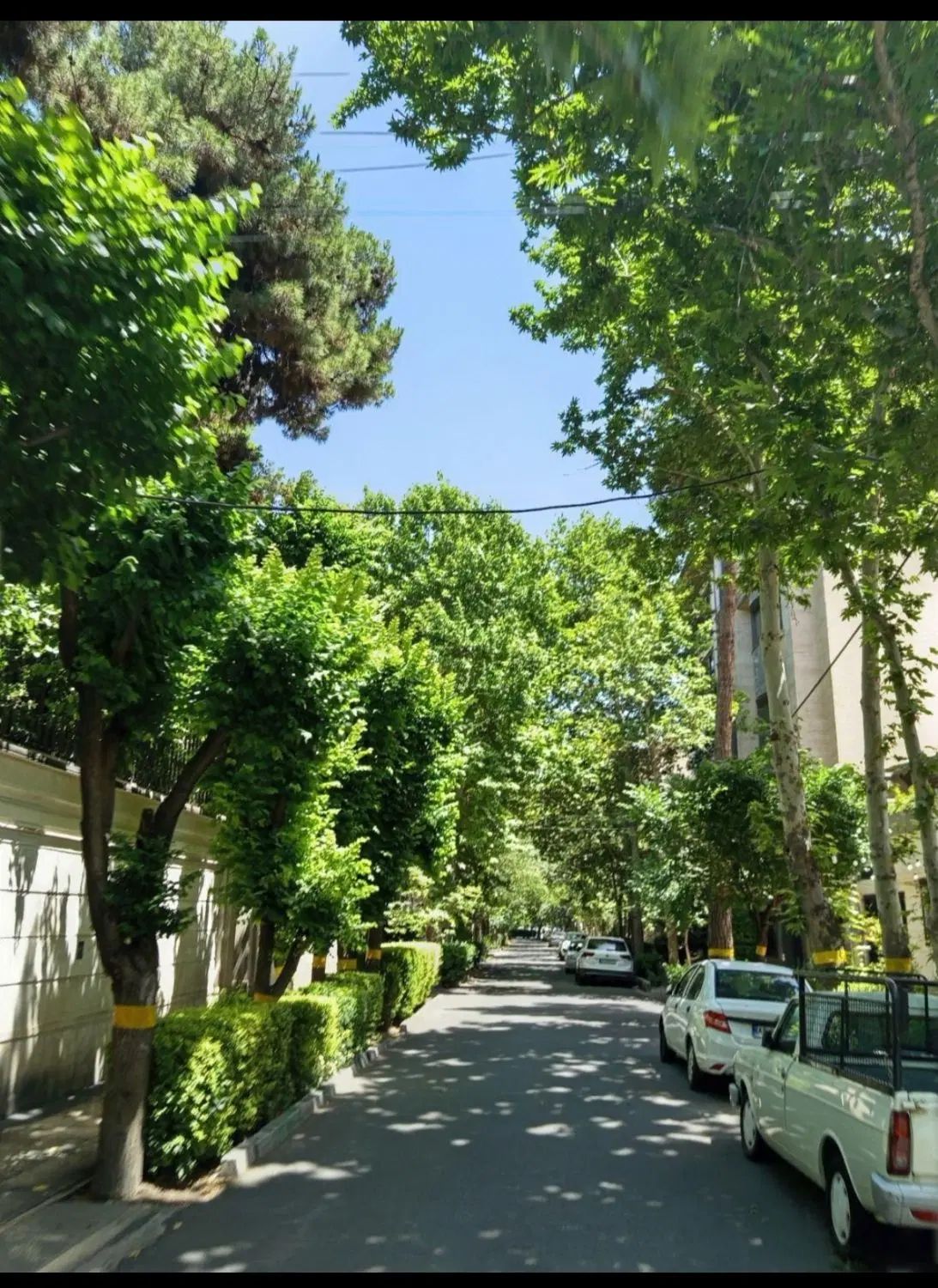 ۲۲۵متر کلنگی / قابلیت ساخت ۵ طبقه/ تاپ لوکیشن|فروش زمین و ملک کلنگی|تهران, جنت‌آباد جنوبی|دیوار