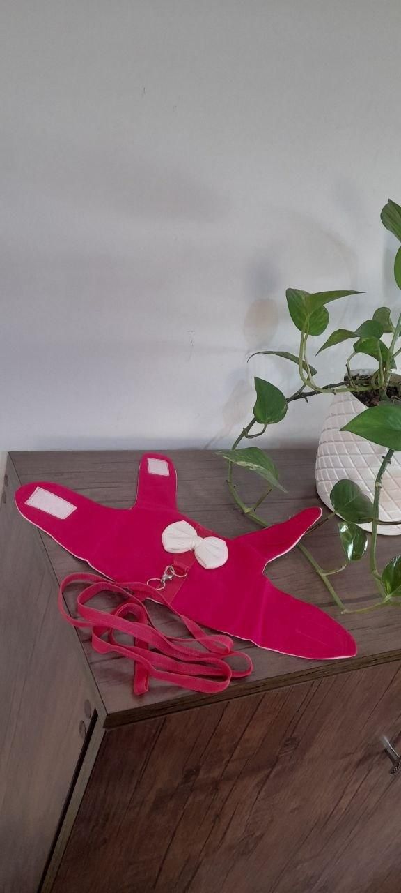 جلیقه خرگوش|لوازم جانبی حیوانات|رشت, انصاری|دیوار