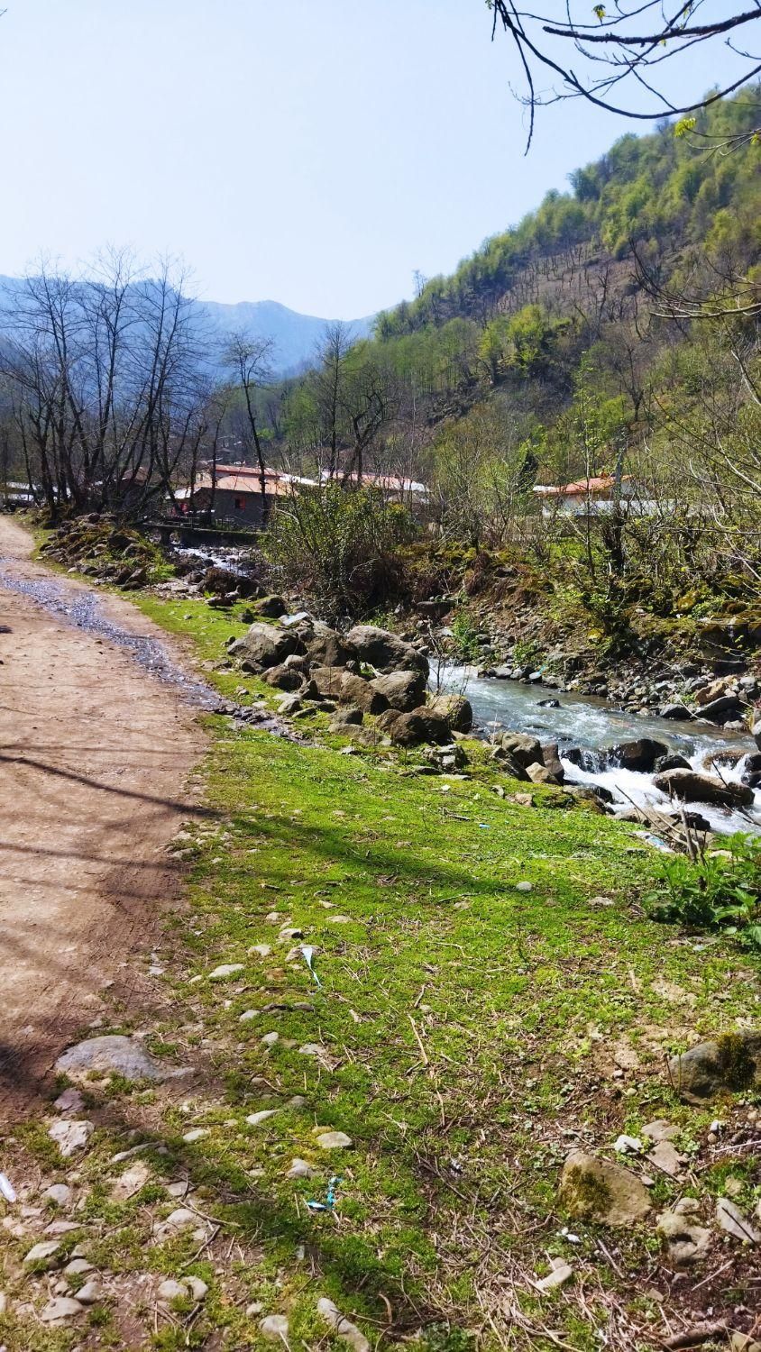 ویلاا جنگلی ویوی دار کسی میخاد زنگ بزنه|اجارهٔ کوتاهمدت ویلا و باغ|ماسال, |دیوار