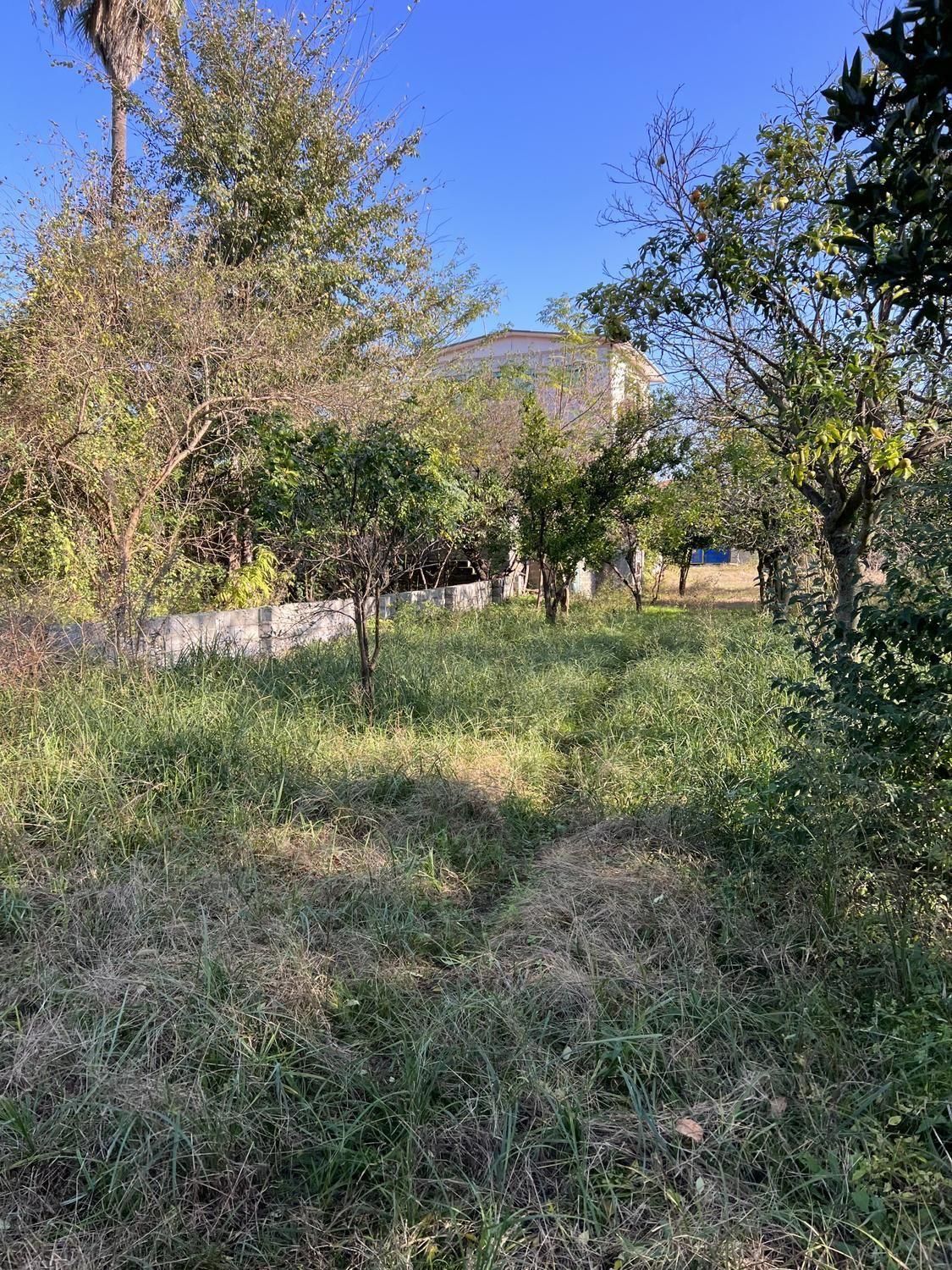 ۲۴۵۰ مترمربع بَرِ اتوبان اصلی ۲ کله تراکم ۱۰ طبقه|فروش زمین و ملک کلنگی|رامسر, |دیوار