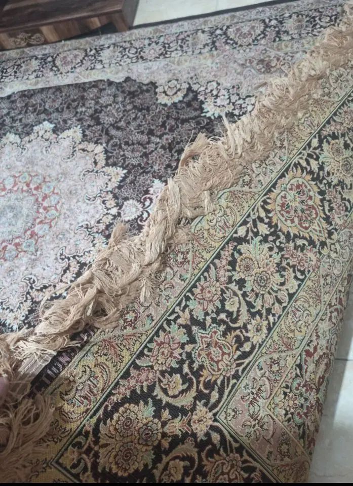 دو عدد فرش ۶ متری|فرش|رشت, حمیدیان|دیوار