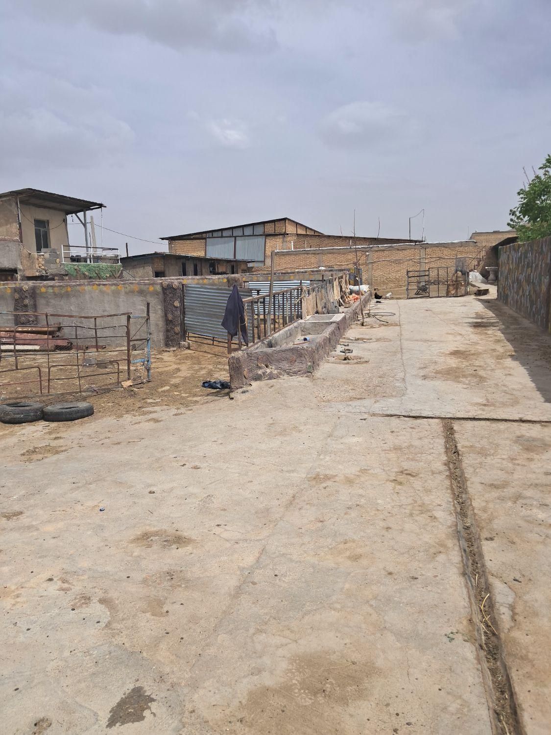 پروار بندی گوساله گوسفندی همه چی ۷۵ راس|پیشفروش املاک|بروجن, |دیوار