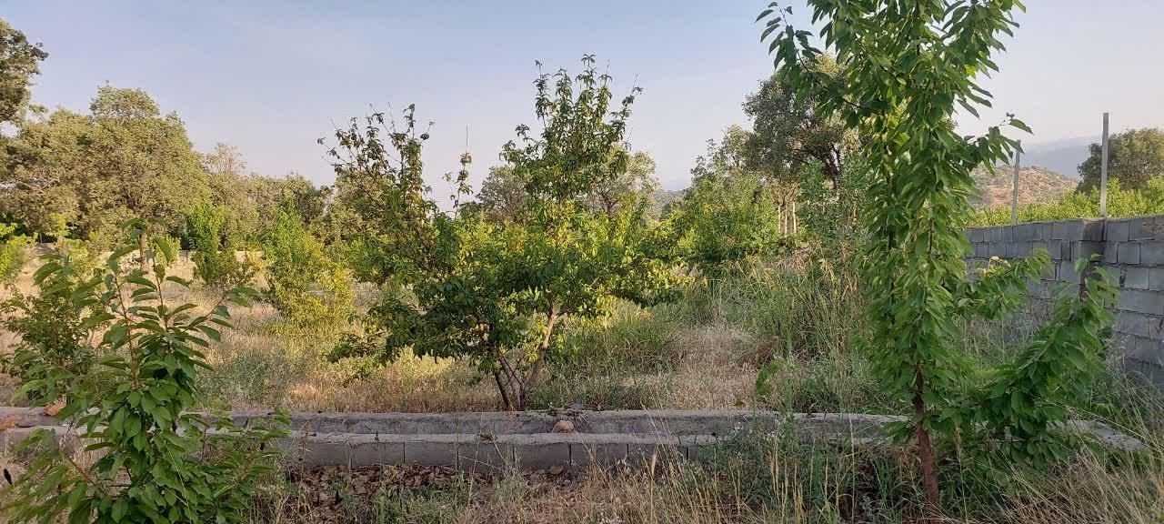 فروش باغ ۵۶۰۰ متری|فروش دفتر صنعتی، کشاورزی، تجاری|یاسوج, |دیوار