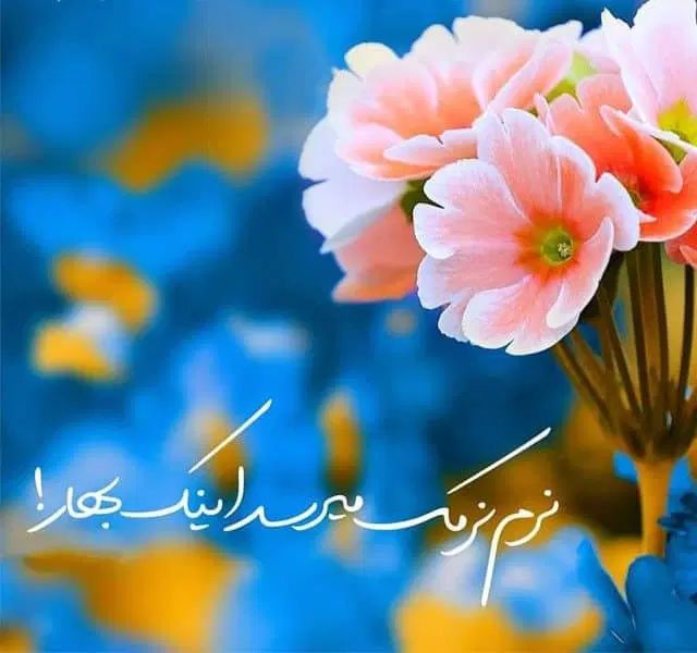 کلیه بایگانی های عکاسی تماشا ولبخند موجوده|خدمات پذیرایی، مراسم|همدان, |دیوار