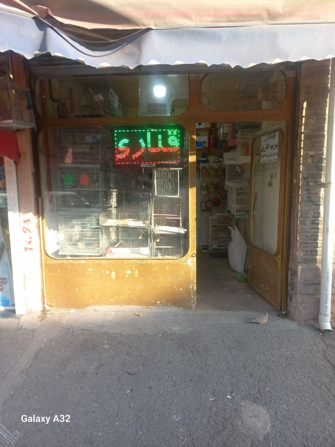 پرنده سرای بیزیم قناری در سیلاب قوشخانه|پرنده|تبریز, |دیوار