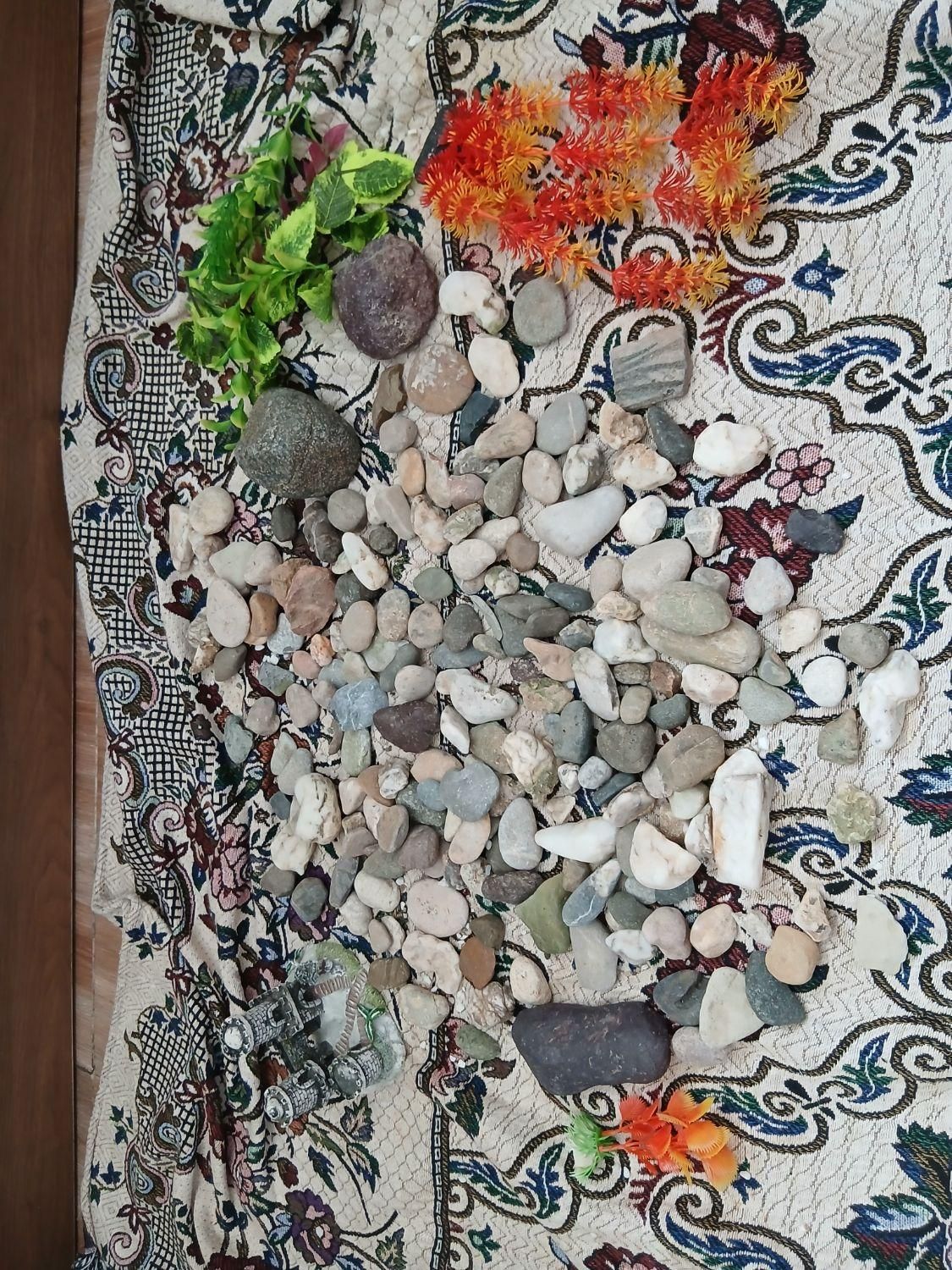 تزئینات داخل آکواریوم|ماهی|بیجار, |دیوار