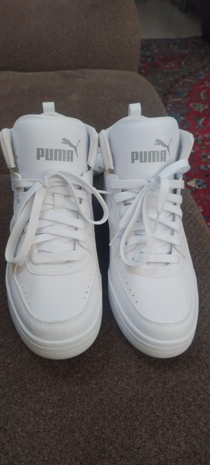 کفش puma سایز 43|کیف، کفش، کمربند|شاهین‌شهر, شهرک پردیس|دیوار