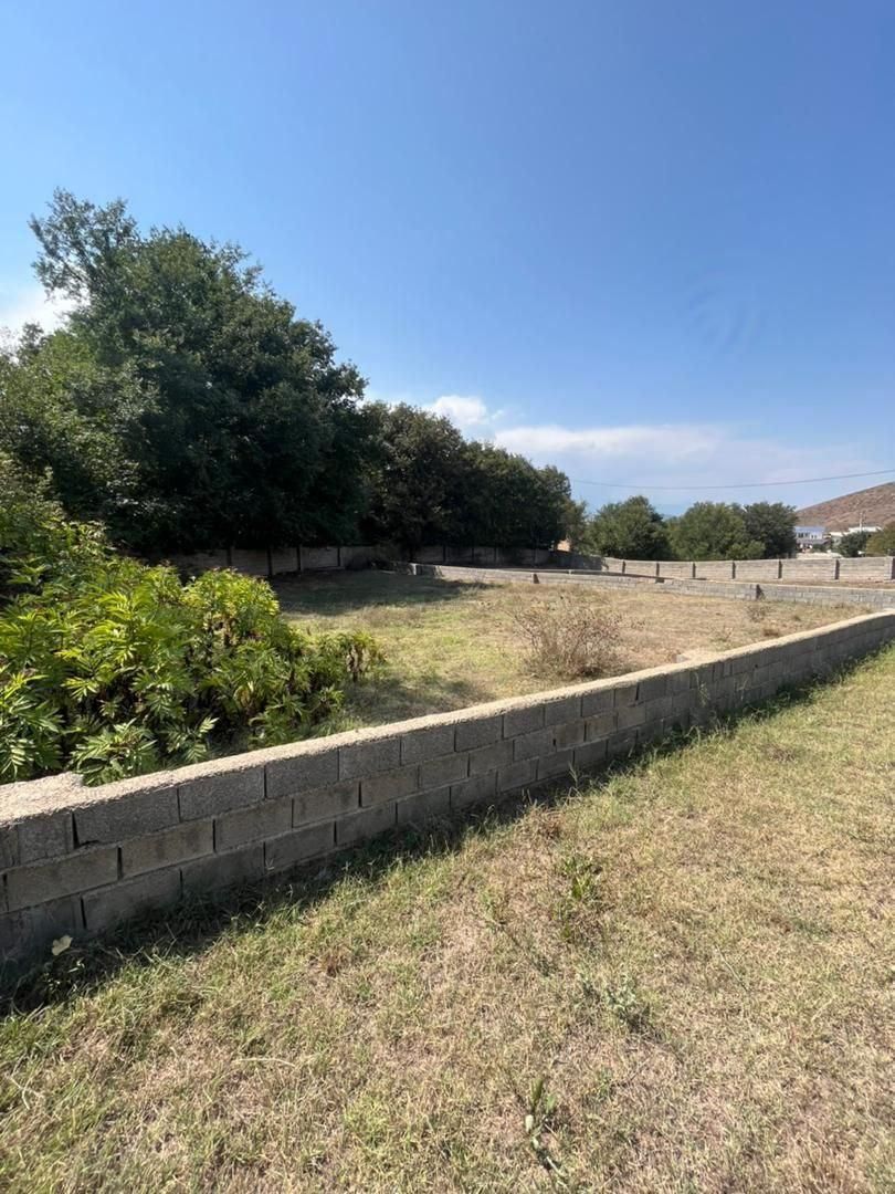 فرصت طلایی سرمایهگذاری در منطقهای خوشآبوهوا|فروش زمین و ملک کلنگی|کجور, |دیوار
