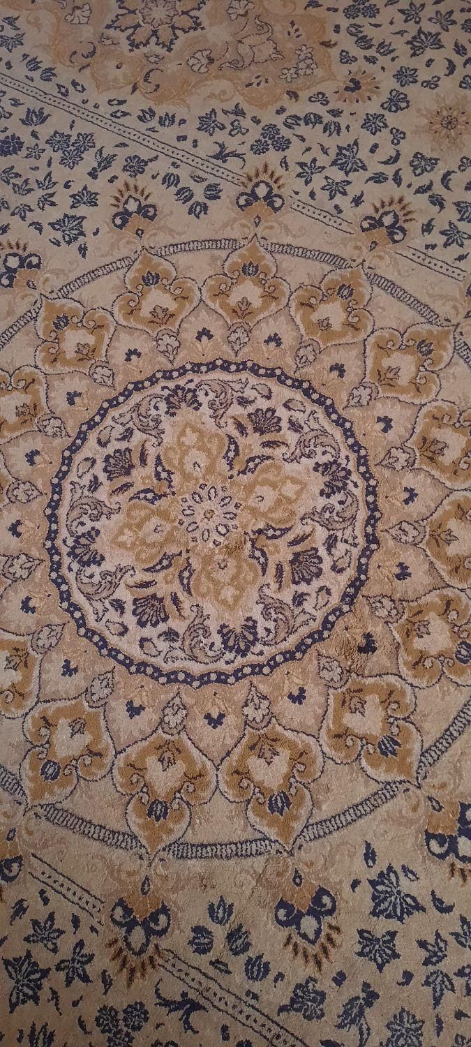 قالی|فرش|مشهد, صیاد شیرازی|دیوار