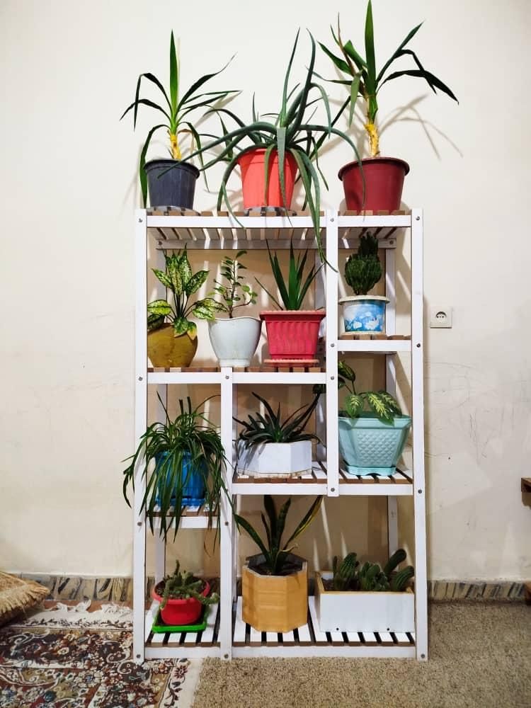 استند گل|گل و گیاه طبیعی|ایلام, |دیوار