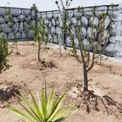 ۲۵۰متر باغچه سند دار باقیمت باورنکردنی|فروش زمین و ملک کلنگی|رباط‌کریم, حصار مهتر|دیوار