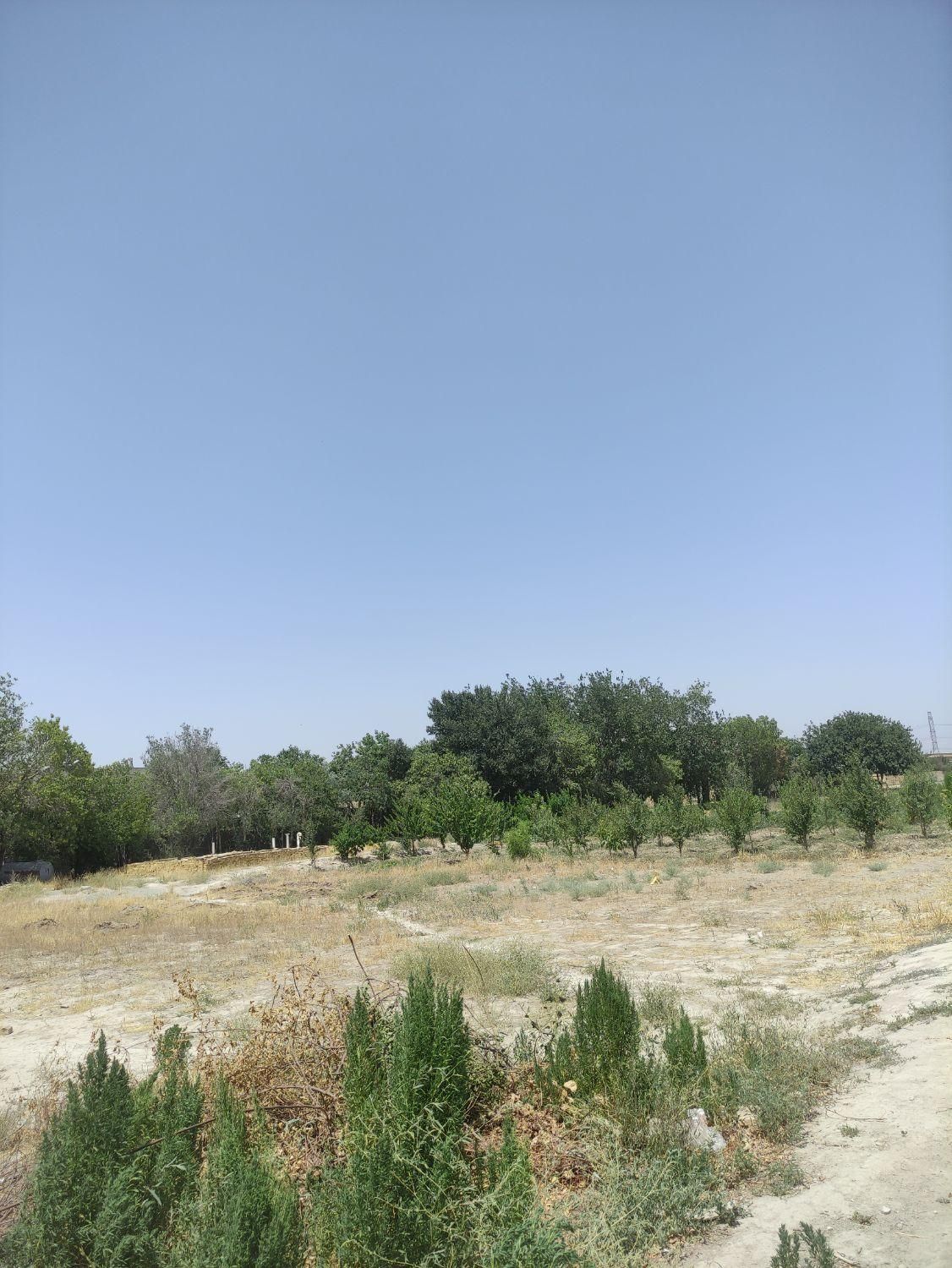 زمین داخل بافت تنکمان|فروش زمین و ملک کلنگی|تنکمان, |دیوار