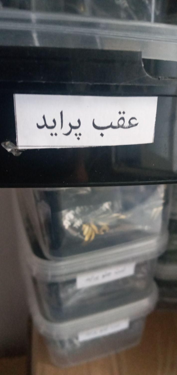 لنت پراید|قطعات یدکی و لوازم جانبی|کرمانشاه, |دیوار