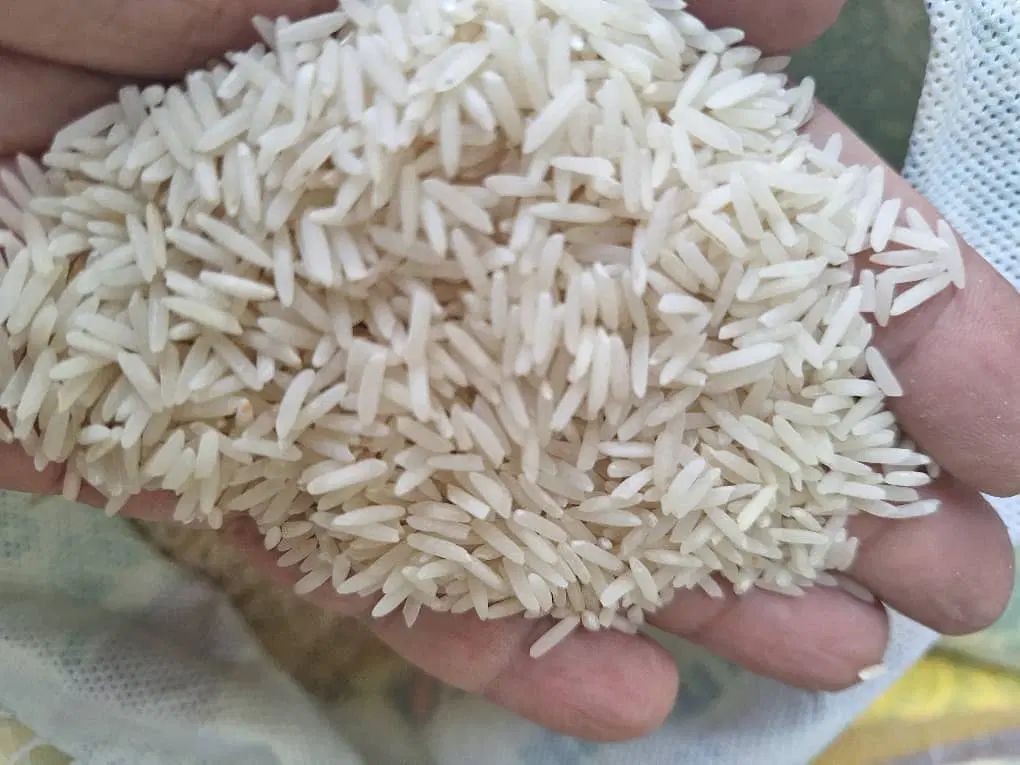 برنج پاکستانی انبه سوپر کرنل و دانه بلند(1121)|خوردنی و آشامیدنی|مشهد, شاهد (شهرک غرب)|دیوار