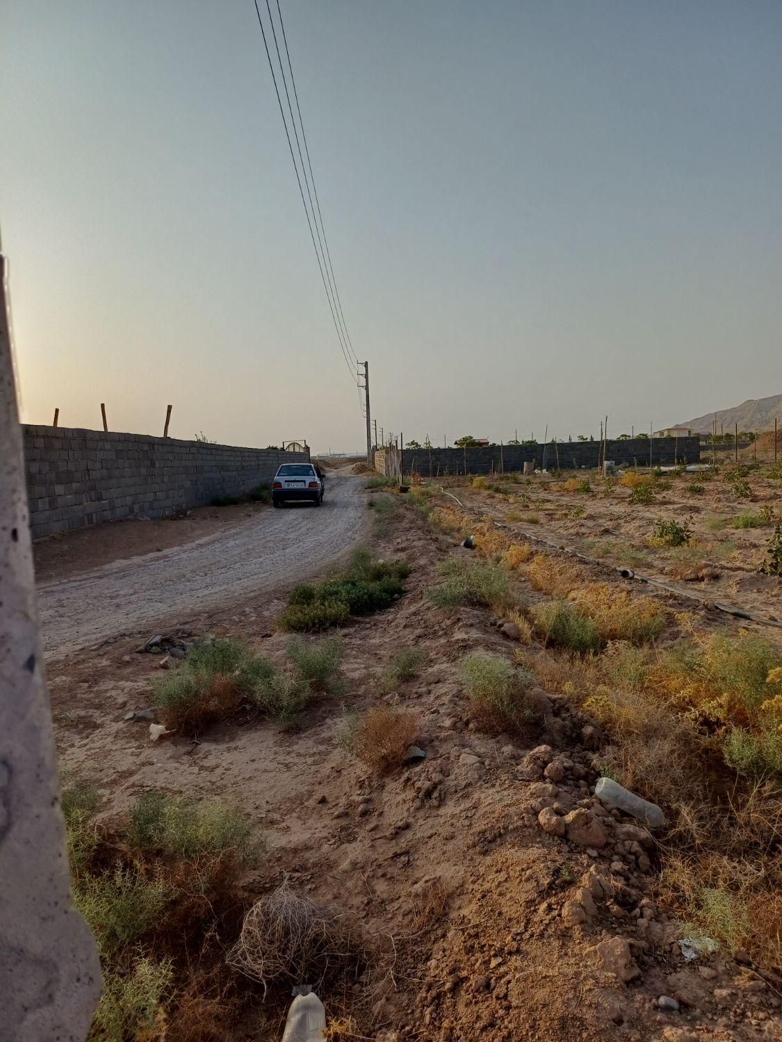 فروش زمین باغچه پسته ۴ ساله۹۵۰ متری باسندوآب وبرق|فروش دفتر صنعتی، کشاورزی، تجاری|جوادآباد, |دیوار
