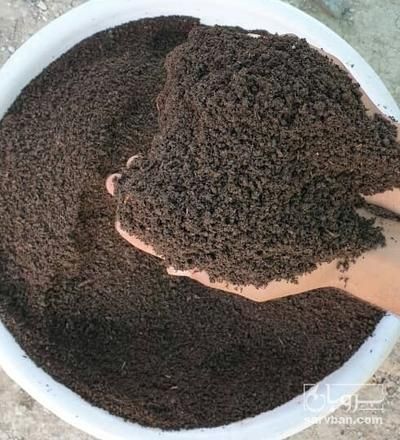 ورمی کمپوست   انالیزمعتبرکتبی  پژوهشکده|خدمات باغبانی و درختکاری|تربت‌حیدریه, شهرک ولیعصر|دیوار