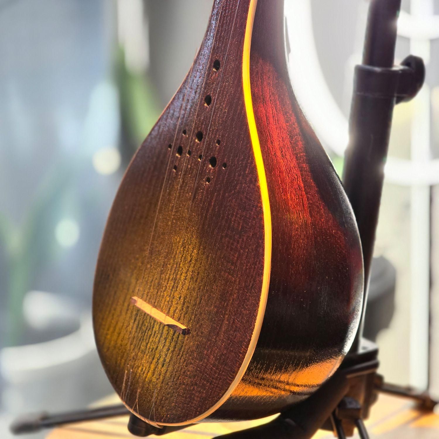 سه تار کنسرتی مهر تک نواز درجه یک|سازهای سنتی|پردیس, فاز ۲|دیوار