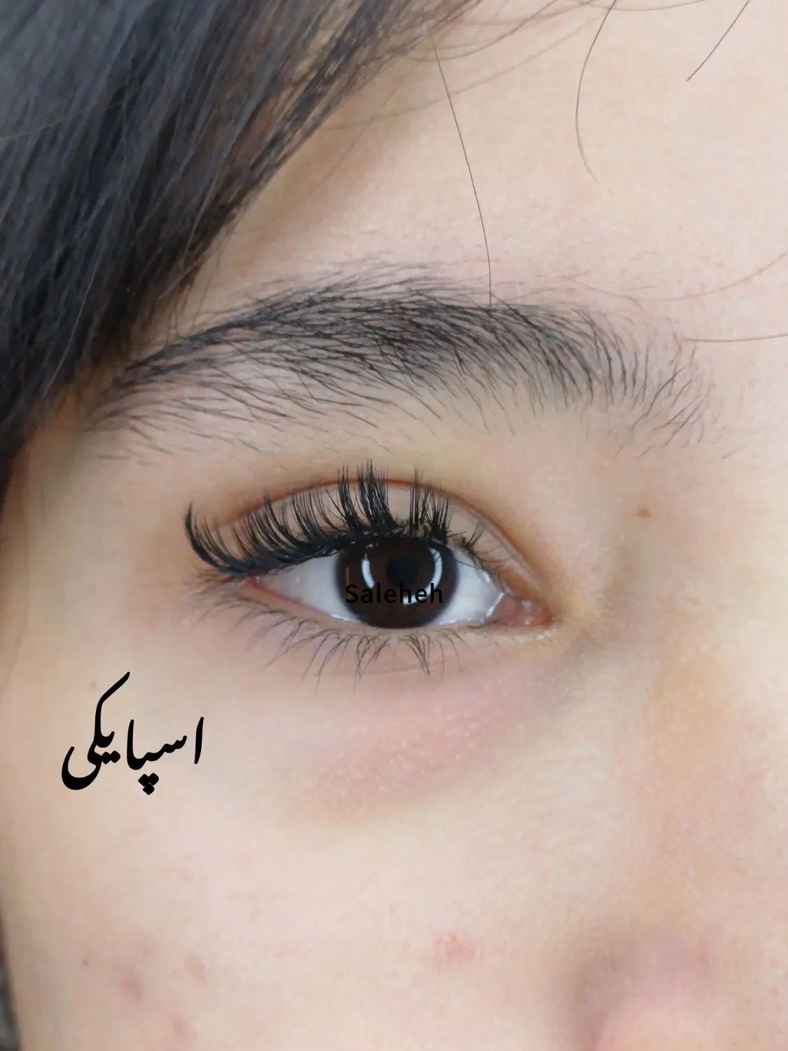 اکستنشن مژه 199 t|خدمات آرایشگری و زیبایی|مشهد, انقلاب|دیوار