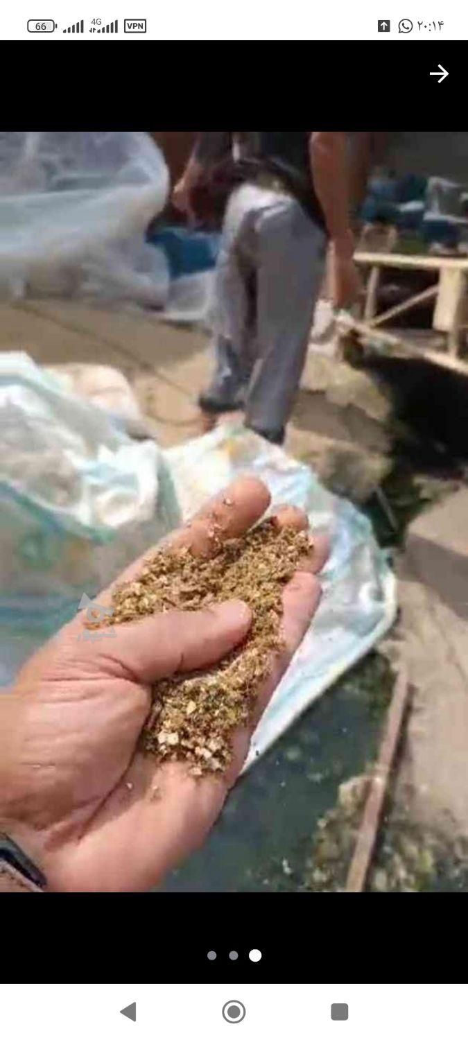 فروش جوجه راس و‌جوجه محلی و اردک مستقیم از کارخانه|حیوانات مزرعه|آمل, |دیوار