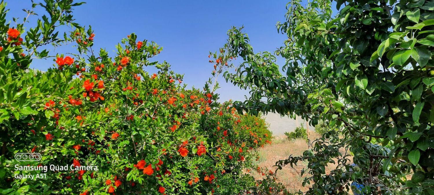 فروش خانه ویلایی ۹۴۸ متری در باغشهر قصر سبز|فروش خانه و ویلا|شیراز, باغشهر قصر سبز|دیوار