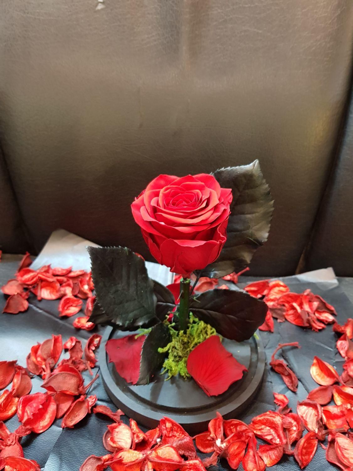 هدیه باکس گل رز جاودان طرح دیو و دلبر|گل و گیاه طبیعی|تهران, فردوسی|دیوار