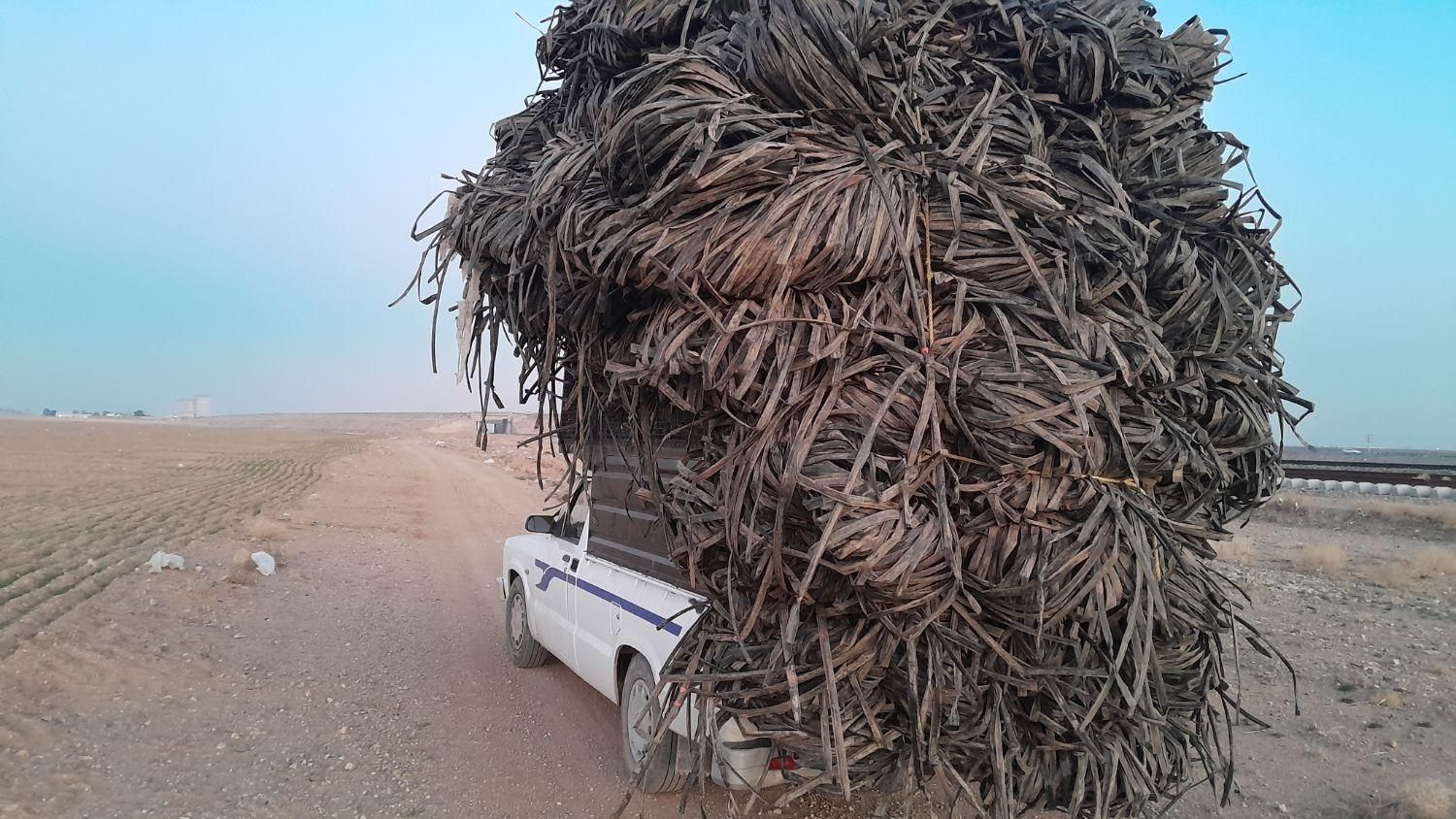 خریدارضایعات نوارتیپ کشاورزی***توضیع نوارتیپ نو|خدمات پیشه و مهارت|نظرآباد, نظرآباد|دیوار