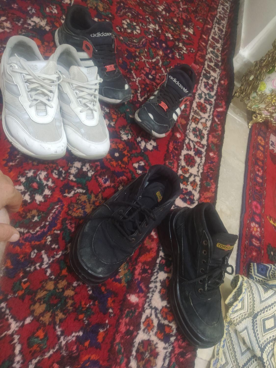 کتونی|کیف، کفش، کمربند|ساوه, |دیوار