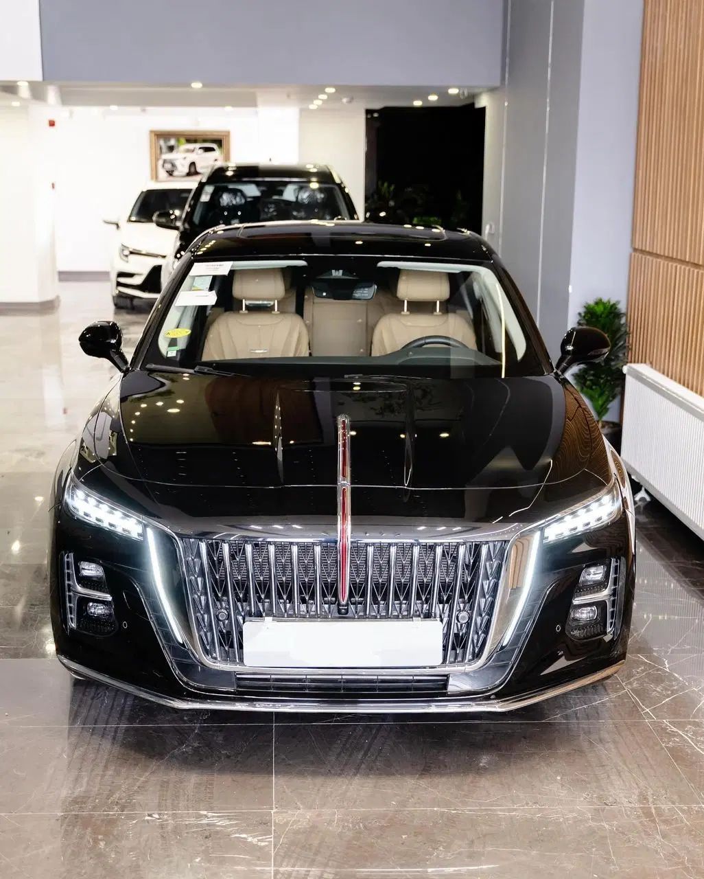 هونگچی اچ 5 / Hongqi H5 مدل 2025 نقد و اقساط|خودرو سواری و وانت|تهران, عباس‌آباد|دیوار